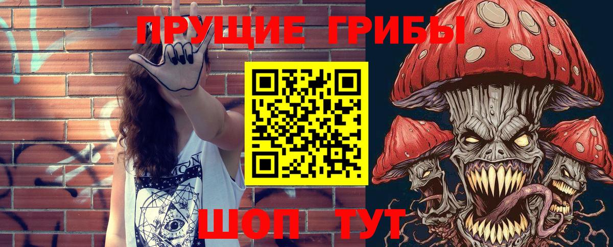 Большой Камень  Галлюциногенные грибы MAGIC MUSHROOMS  Вход с VPN 