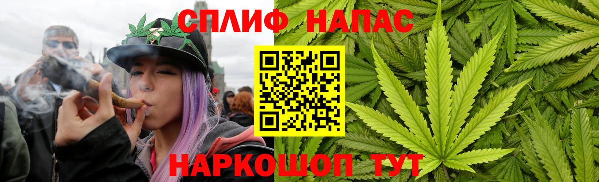 Канабис тримм  Вход с VPN  Большой Камень  Каннабис план 